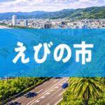 えびの市